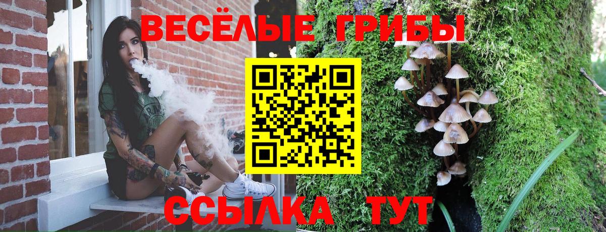 Псилоцибиновые грибы ЛСД  Вход с VPN  Луховицы 